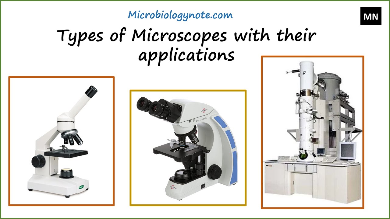 Compound Microscopes: The Standard Tool in Science Education