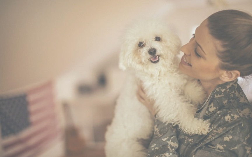 Military Pet Policies: Rules for Service Members with Animals