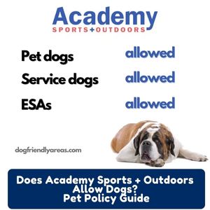 Dogs in Academy Sports: Pet Policy Guide for Shoppers