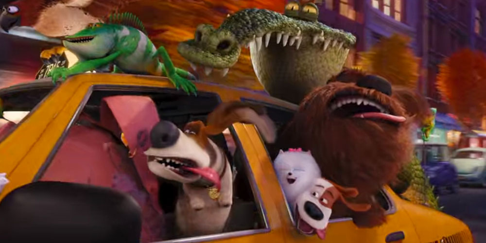 Duke from The Secret Life of Pets: Breed Information and Character Details