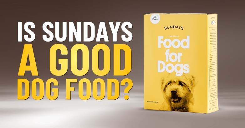 Sunday's Dog Food: Pricing Guide and Value Analysis