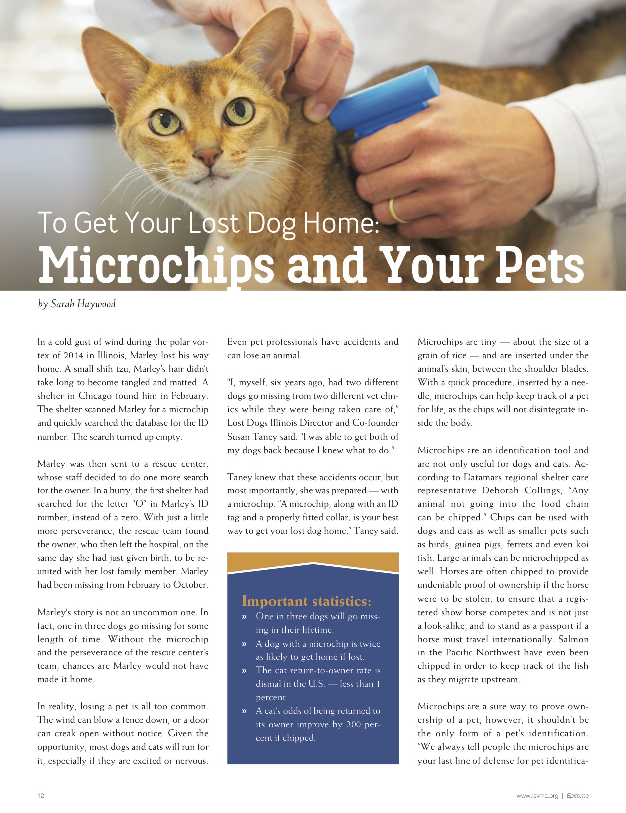 Microban Safety for Pets: Complete Guide to Antimicrobial Protection